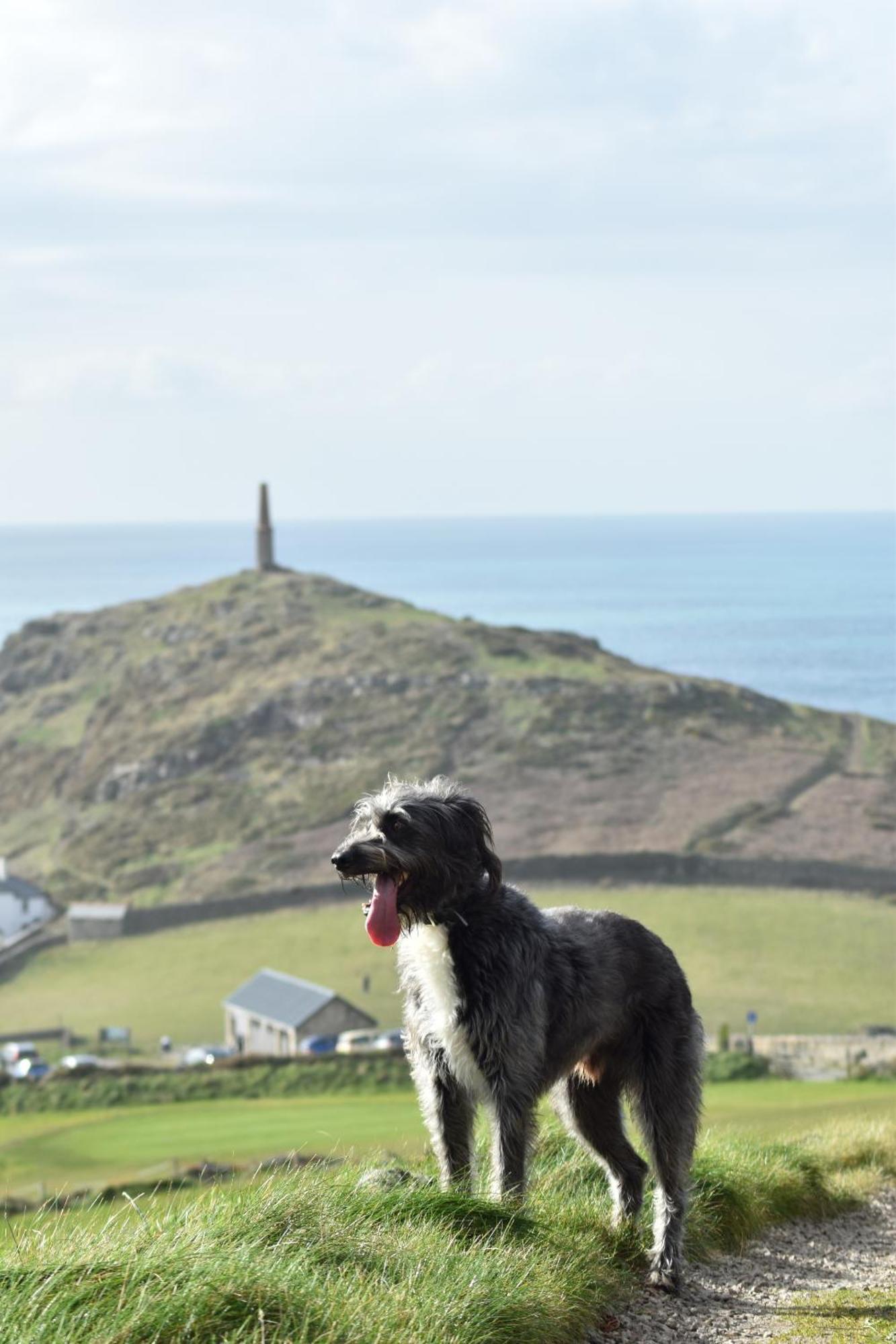 Cape Cornwall Club St Just Dış mekan fotoğraf